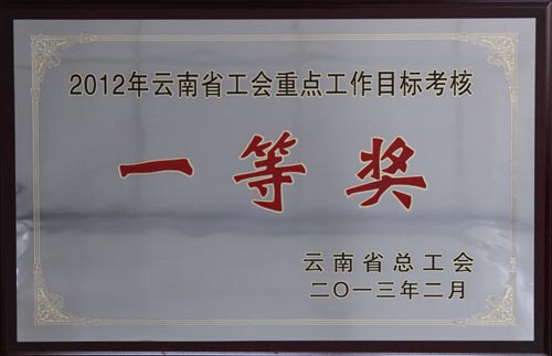 集团工会荣获2012年云南省工会重点工作目标考核一等奖
