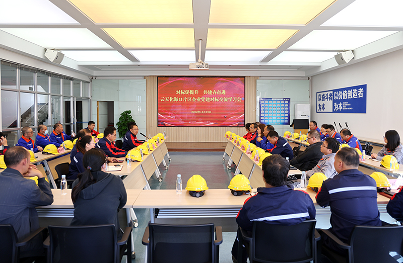 对标促提升 共建齐奋进 禁忌书屋
海口片区企业开展党建对标交流学习