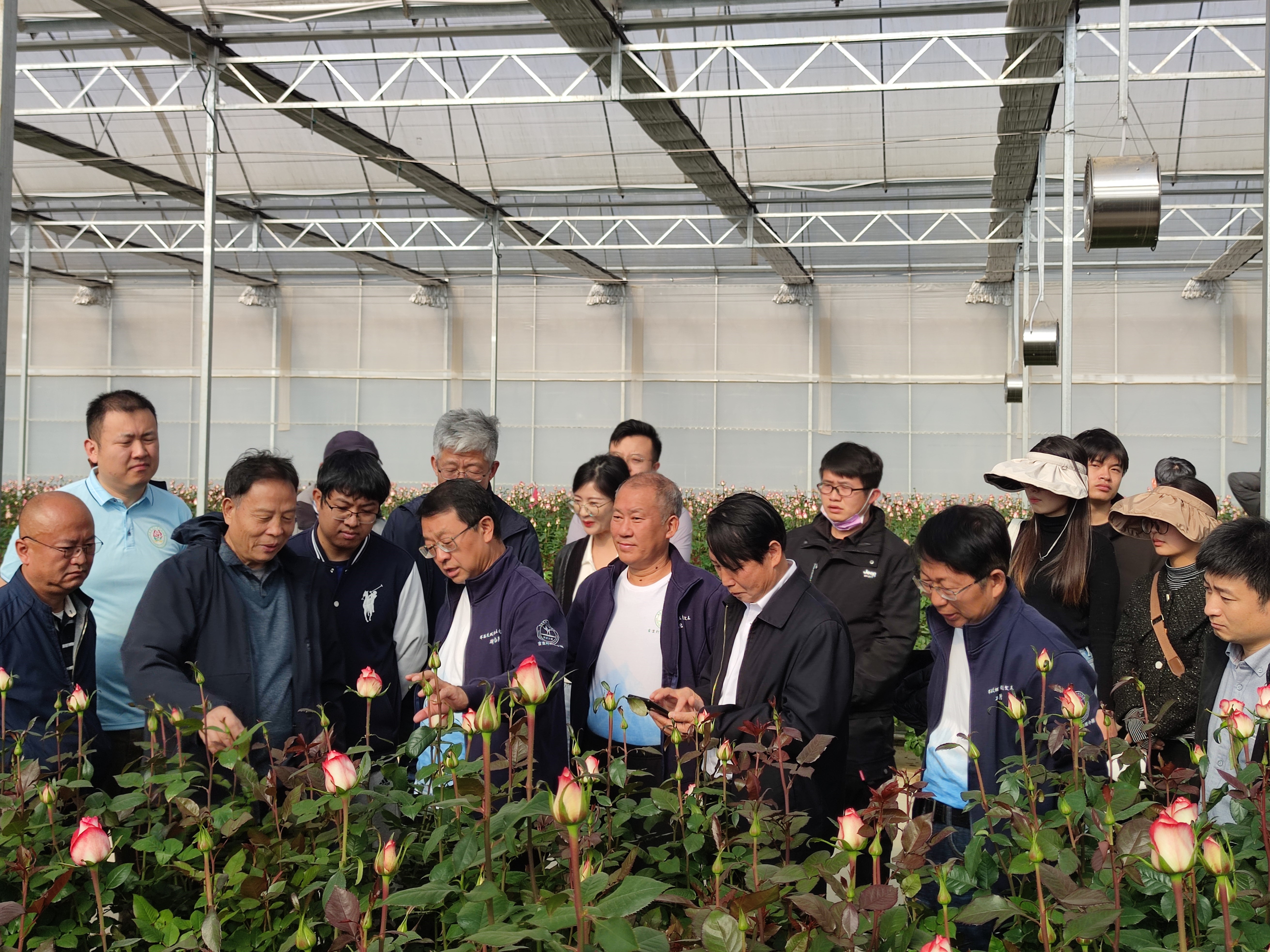 张福锁院士一行到花匠铺宝峰基地调研指导花卉种业创新、花卉质量提升等工作